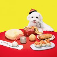〈フェリシモ「犬七番飯店の会」 ②〉SNS経由で新規獲得、〝7カ月〟の壁超える